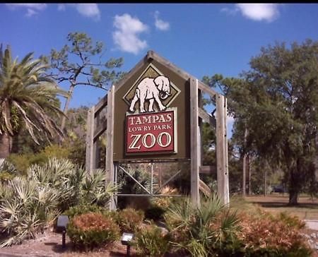 Bush Garden Park Nearby Apartments Tampa Buitenkant foto